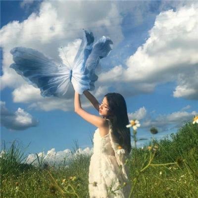金殿劫美 海报